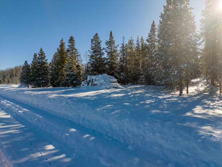 07-59100 Button Willow Drive