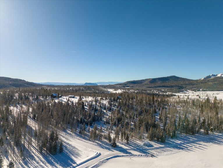 08-59100 Button Willow Drive