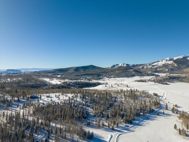 10-59100 Button Willow Drive