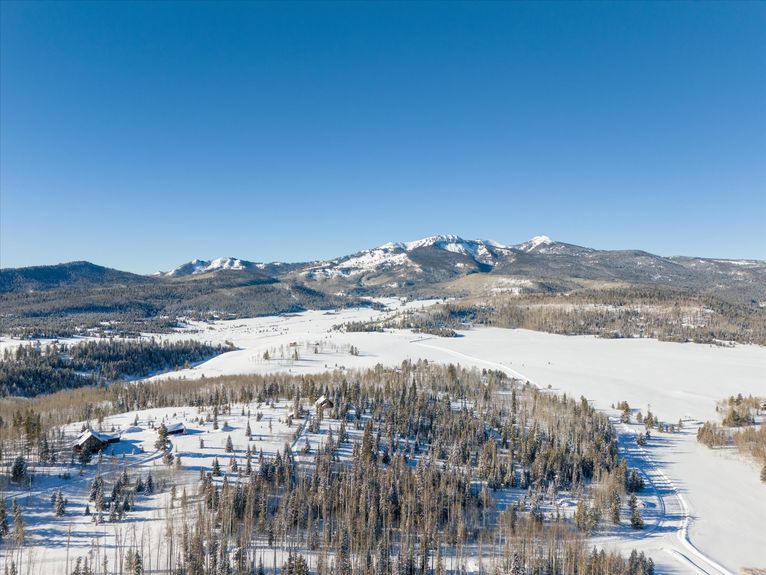 11-59100 Button Willow Drive