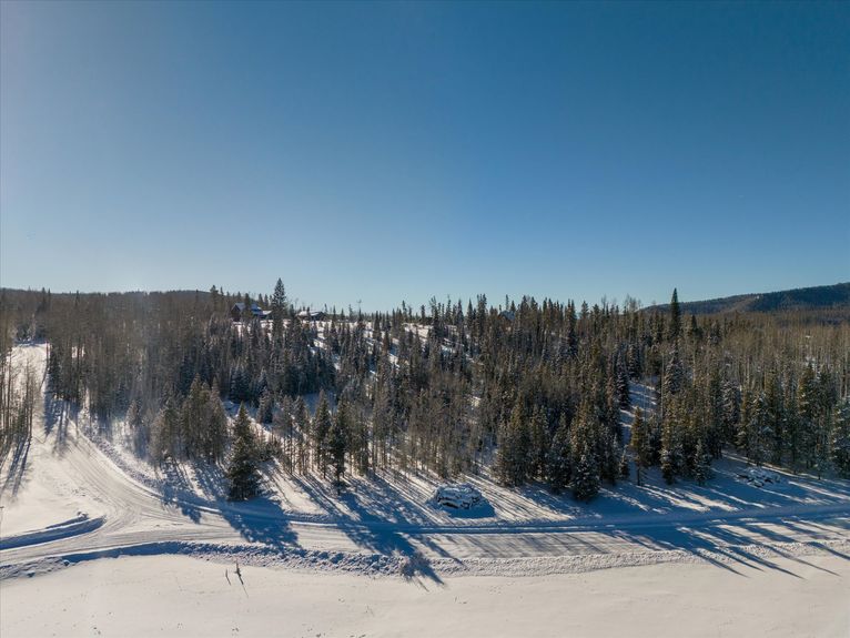 20-59100 Button Willow Drive