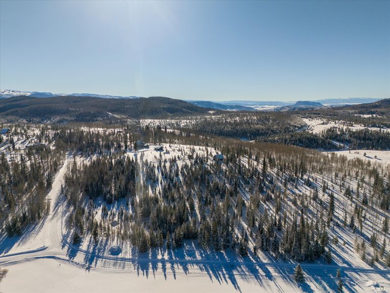 21-59100 Button Willow Drive