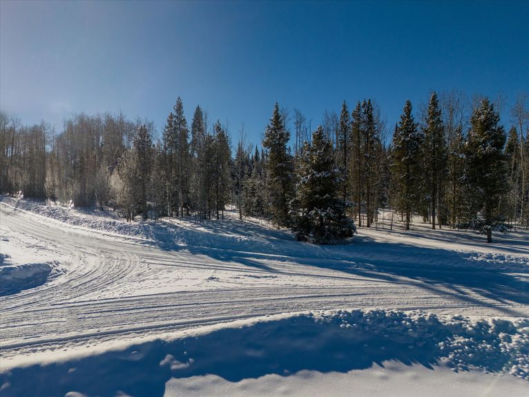 25-59100 Button Willow Drive