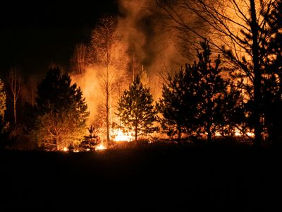 Wildfire Preparedness: How to Protect Your Home, Belongings and Family