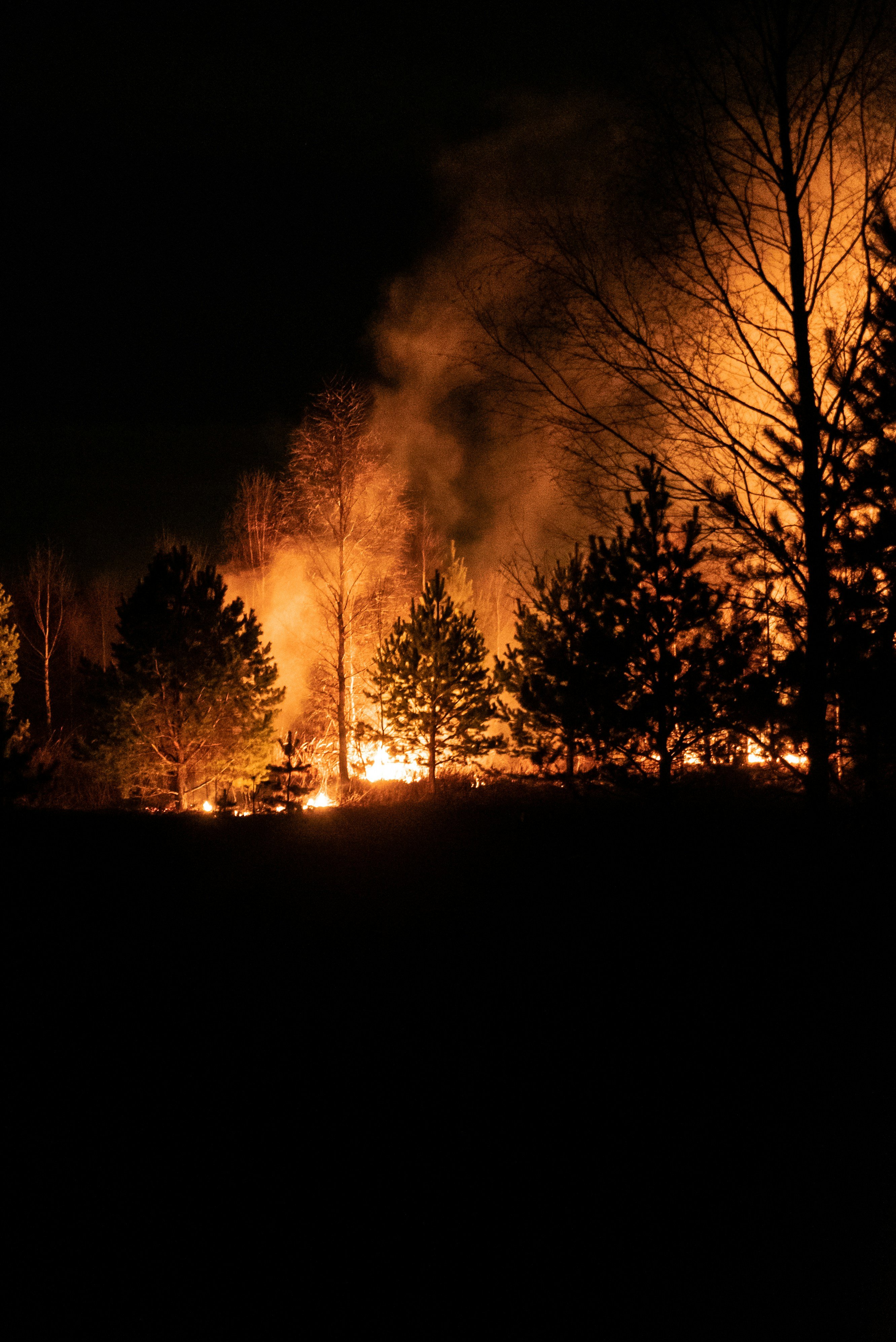 fire