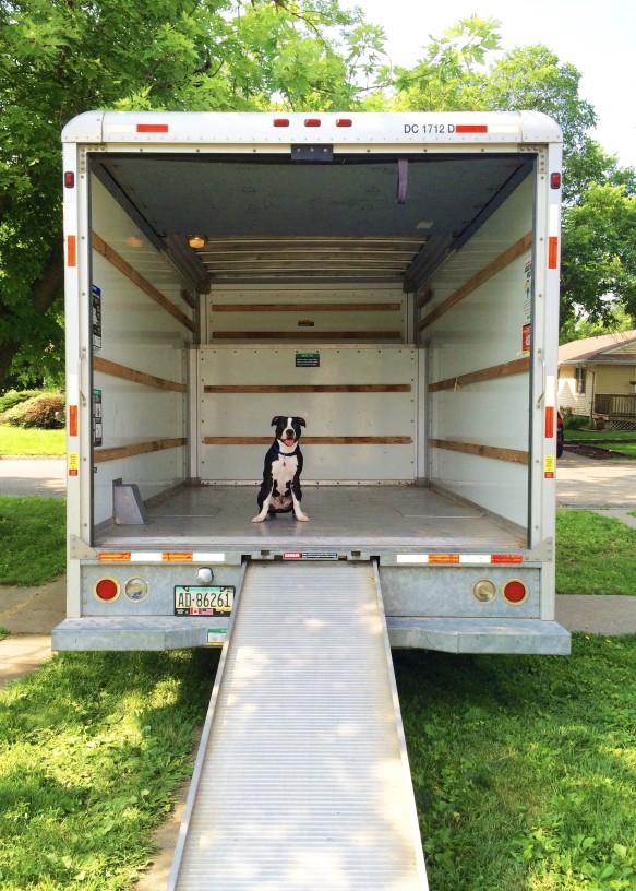 Market Prep & Staging