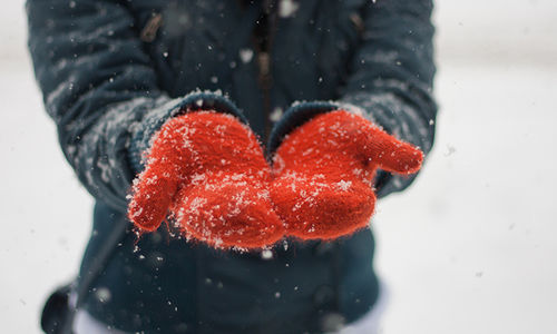 Winter Will Bring a Flurry of Activity to …