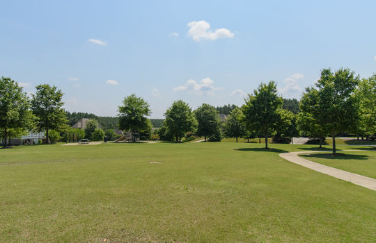 chelsea-park-greenspace