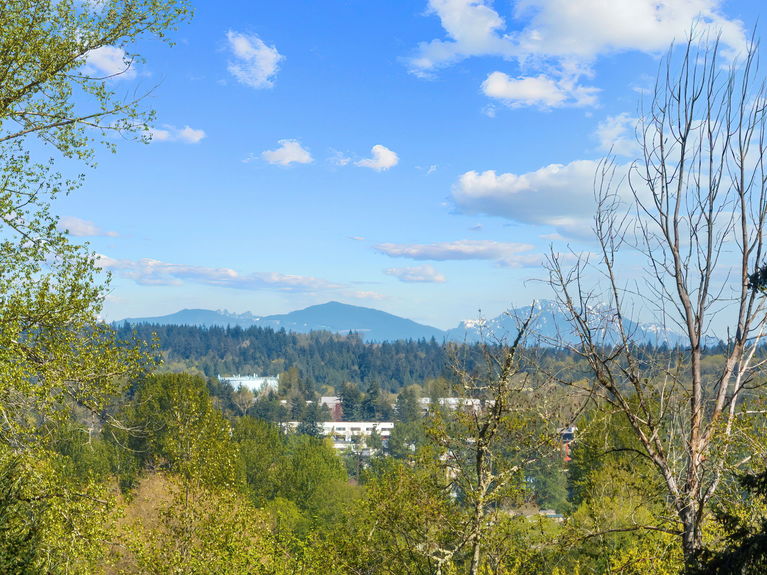 42-16128 NE 57th St - 42