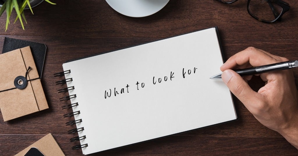 What to look for in a Realtor, Alina Araujo is the best realtor in Kirkland, WA