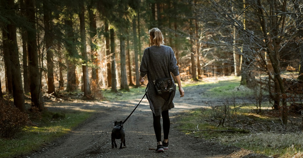 Nature's Walk, top Bothell neighborhood