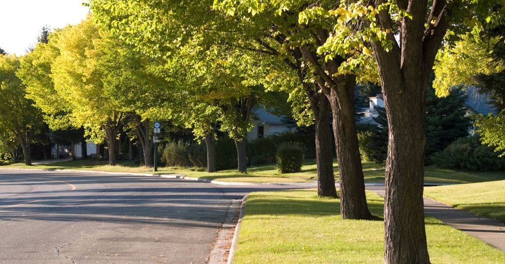 maywood hills quiet streets with mature trees