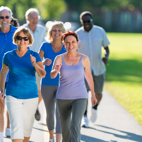 Best Walkable Neighborhoods in Kirkland for Coffee, Parks, and Commuting