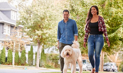 When Is the Best Time of Year to &hellip;