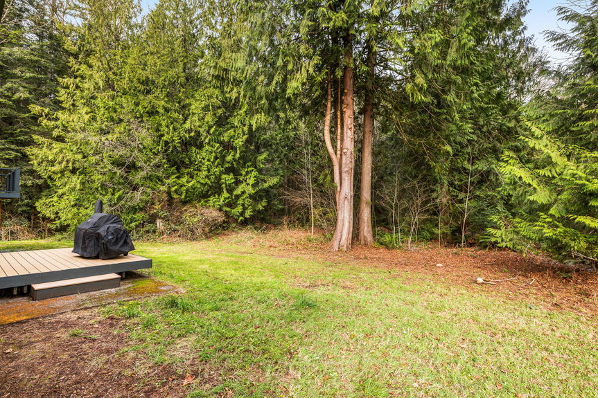 27-web-or-mls-11607-woods-lake-rd