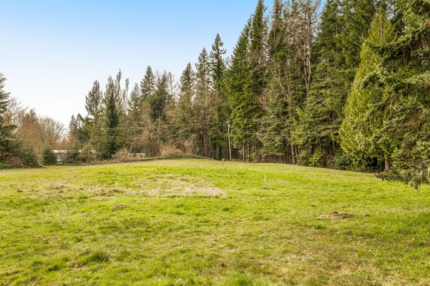 30-web-or-mls-11607-woods-lake-rd