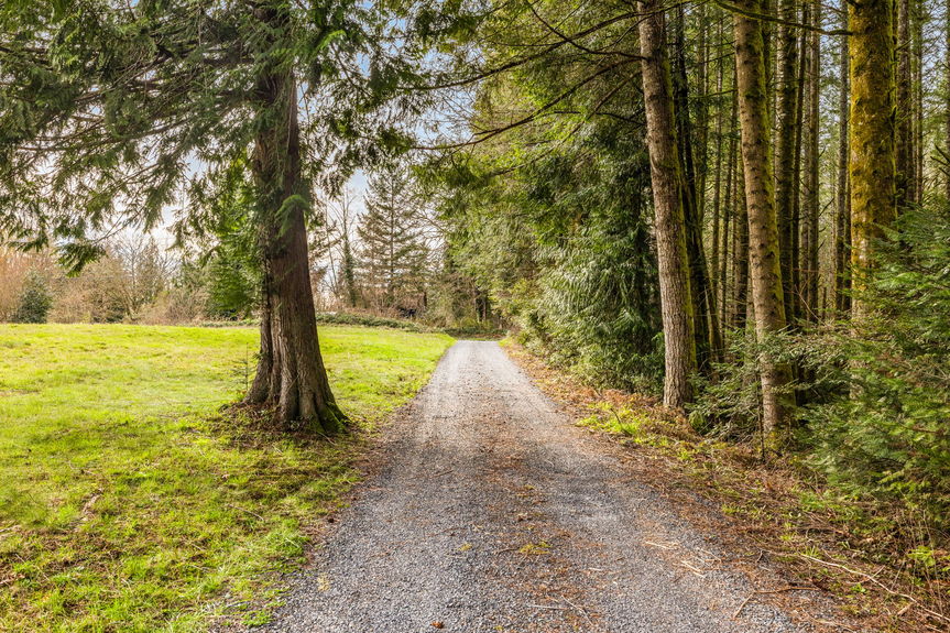 32-web-or-mls-11607-woods-lake-rd