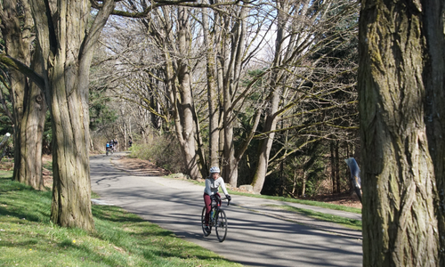 Kenmore WA Neighborhoods With the Best Access to &hellip;