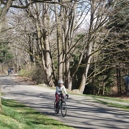 Kenmore WA Neighborhoods With the Best Access to the Burke-Gilman Trail