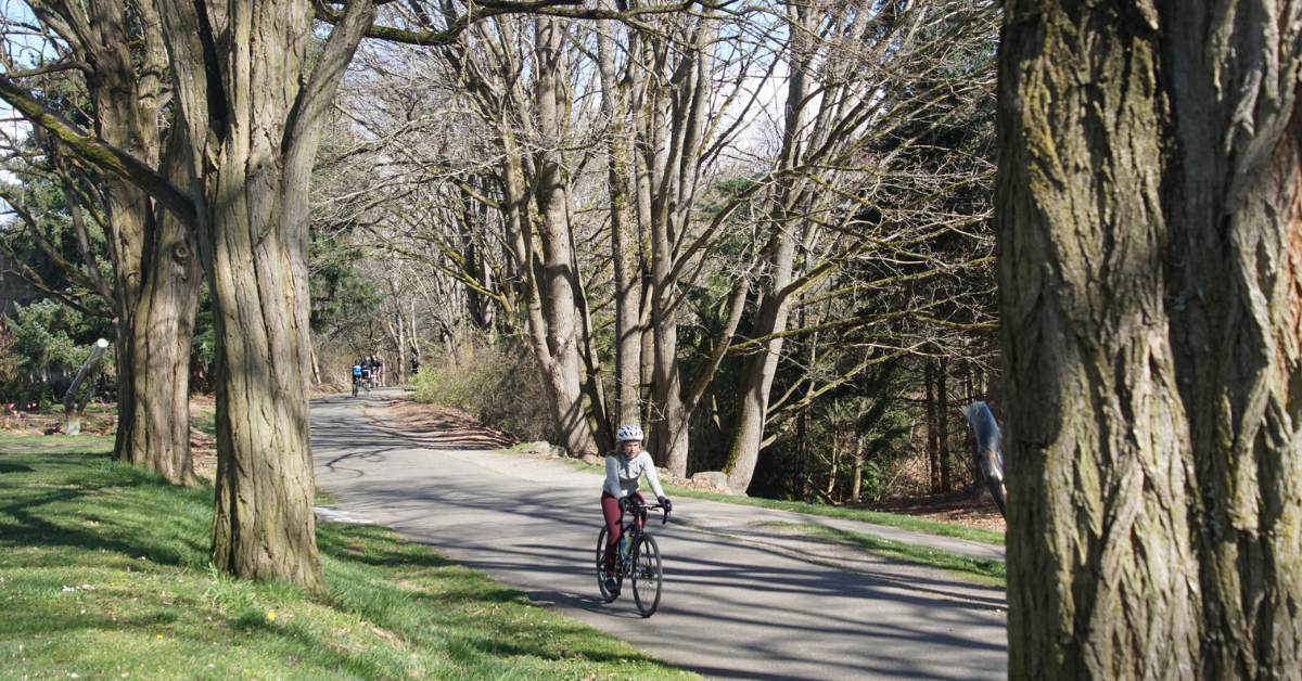 Burke-Gilman trail (2)