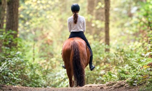 Bridle Trails, Kirkland: A Guide to Luxury Estate &hellip;