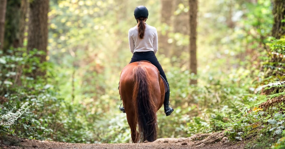 Bridle Trails Kirkland