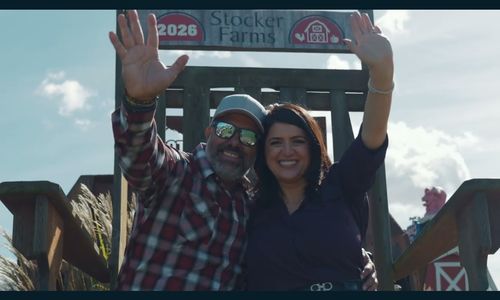 What Clients Say About Working With a Seattle &hellip;