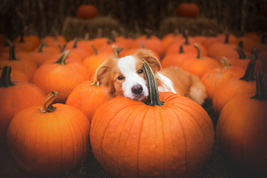 October Newsletter