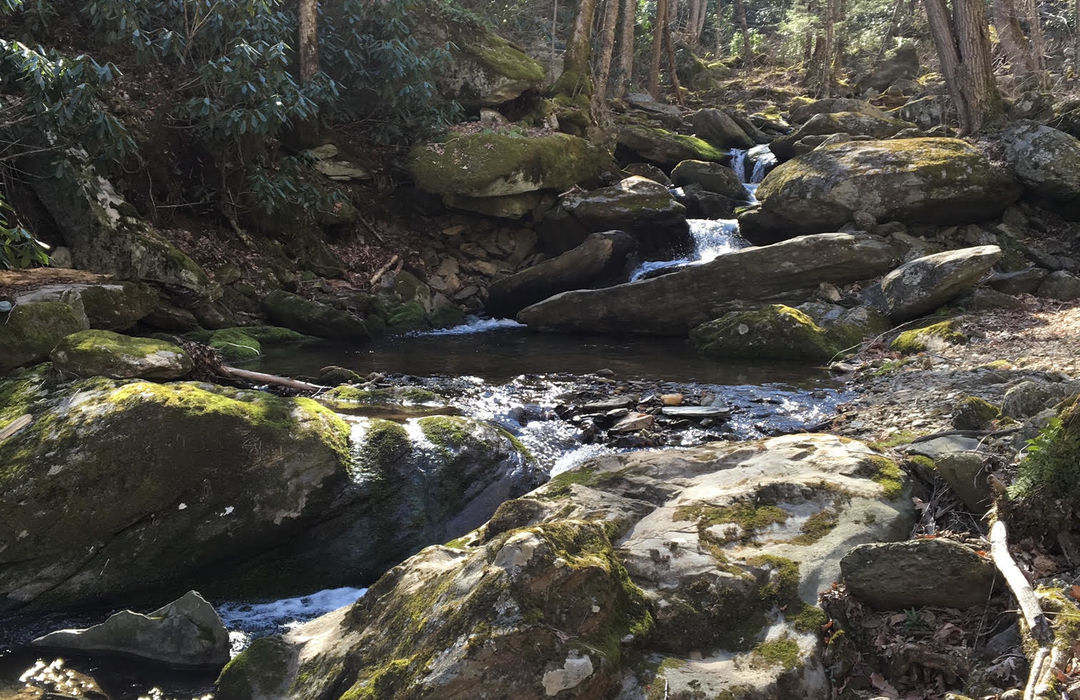 Real Estate in Seven Devils, North Carolina 828 Real Estate