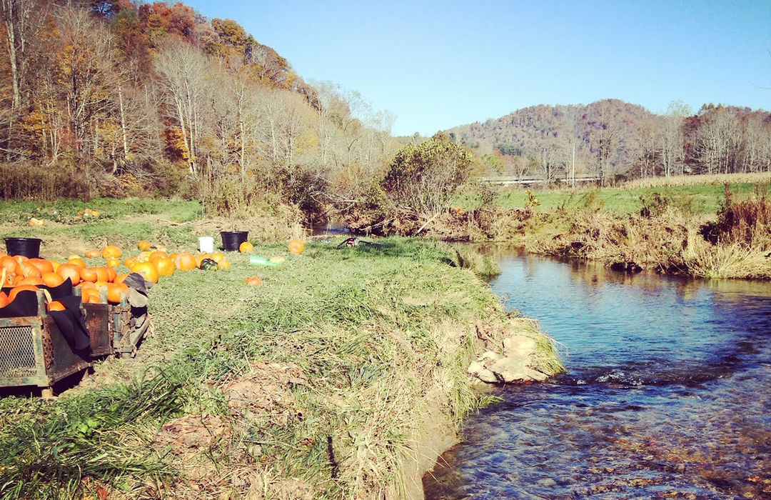 Real Estate in Valle Crucis, North Carolina 828 Real Estate