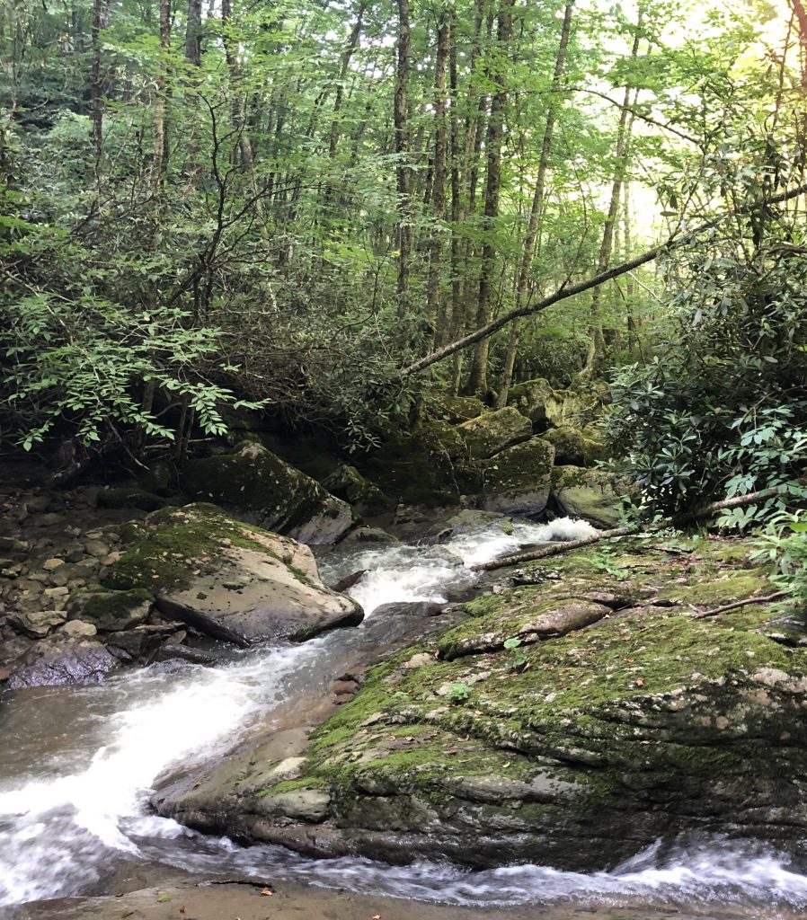 Hiking Lower Pond Creek Trail in Beech Mountain, NC 828 Real Estate