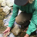 Fly fishing guide with High Country Guide Service in Boone, North Carolina, holding a baby trout at a local creek.