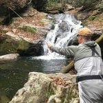 Man fly fishing in a trout creek by a waterfall with High Country Guide Service in Boone, North Carolina.