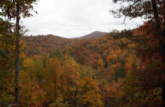 Fall-view_2009