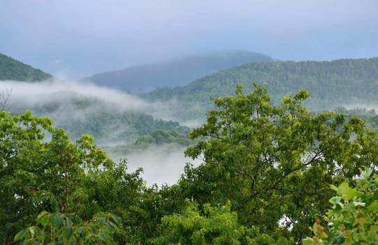 Fog-in-the-hills_2012