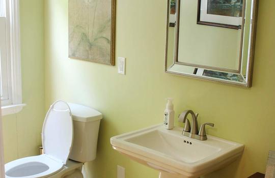 guestbathroom5