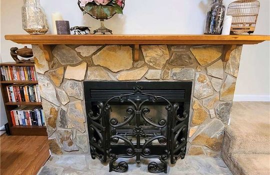 woodburningfireplace