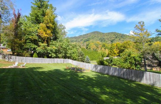 backyard2
