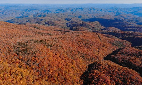 Fall foliage at peak leaf season in the Blue Ridge Mountains around Boone, NC
