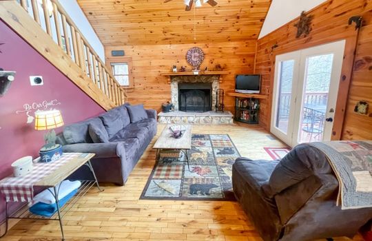 living fireplace