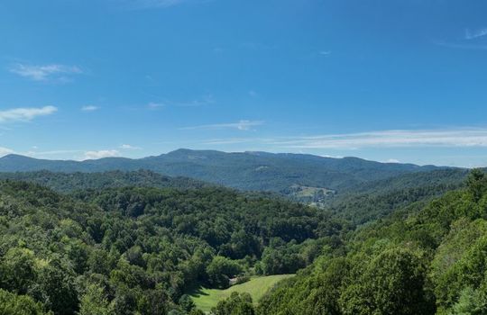 Pan 1