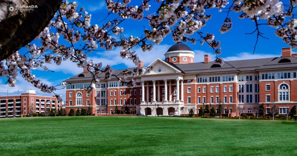 Kannapolis Wilson Realty co