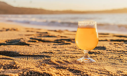 A Taste of Our Favorite Orange County Breweries