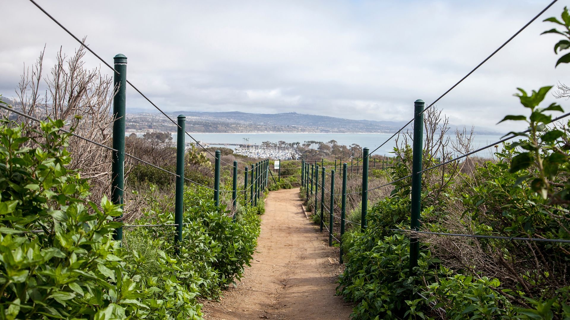 Dana-Point-Hike