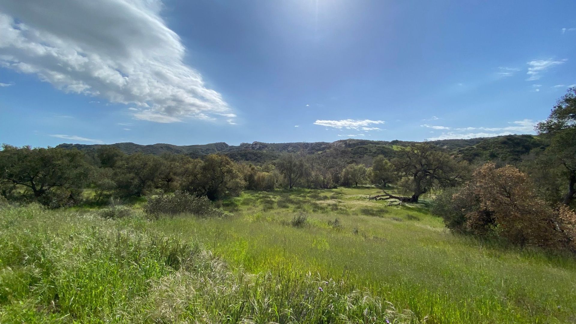 San-Juan-Capistrano-Trails