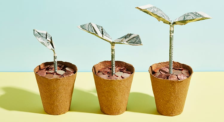 Origami dollar seedlings growing in flower pots full of coins