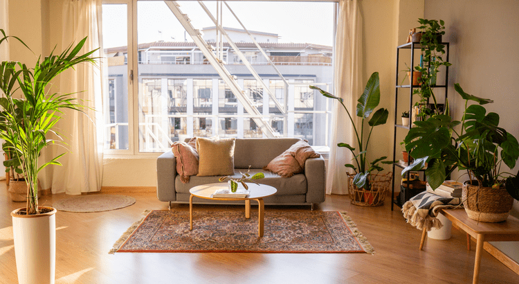 Living room with a modern couch and plants