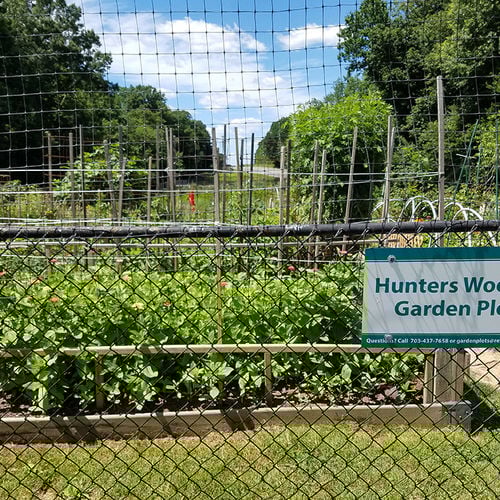 Reston Association Garden Plots: Everything You Need to Know in 2025
