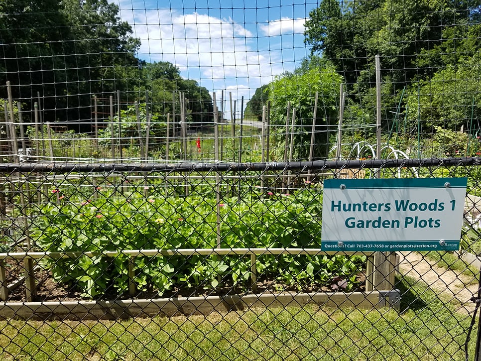 Garden Plot at Hunters Woods in Reston, VA
