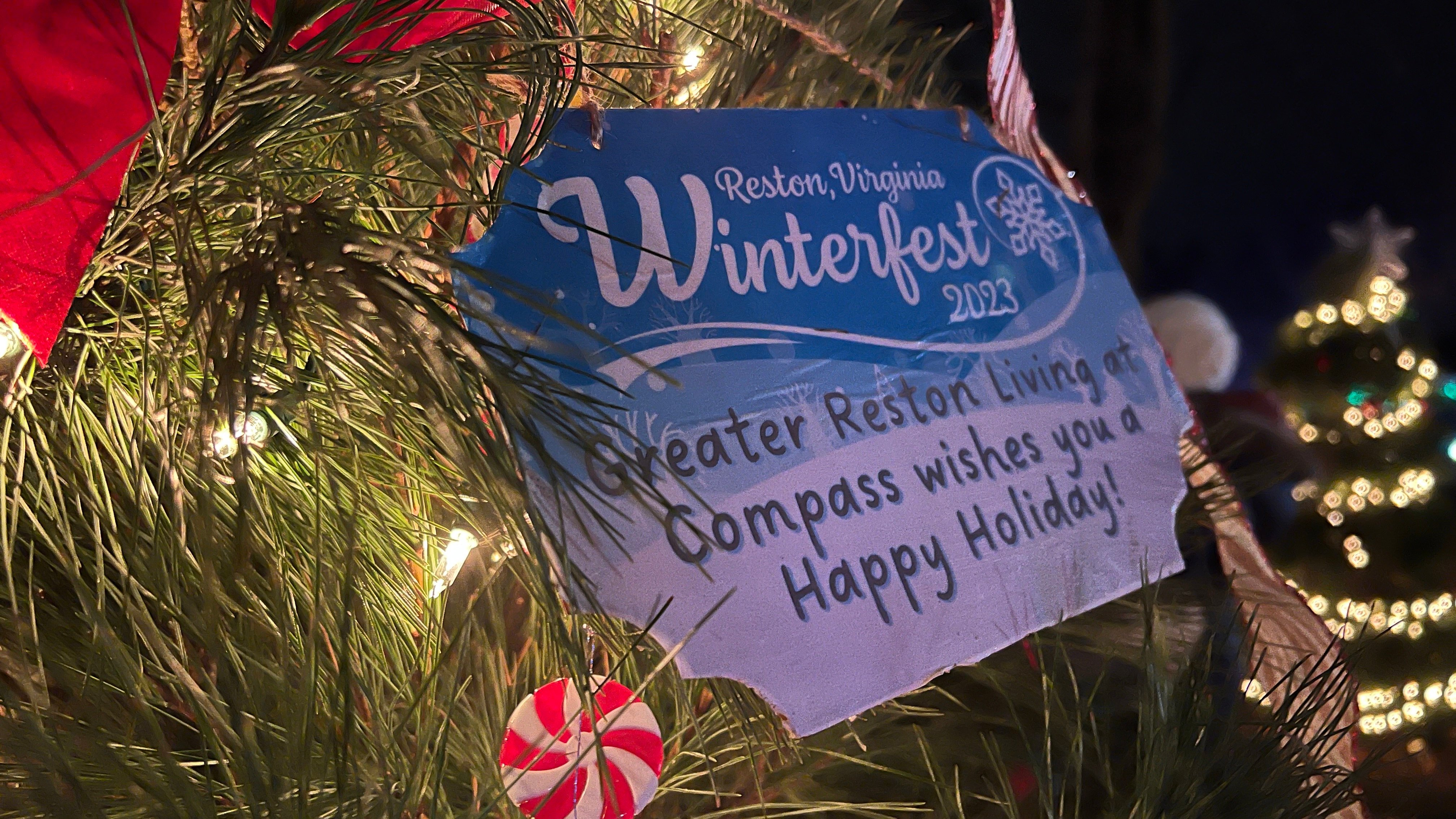Reston Winterfest Enchanted Forest